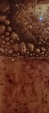 Esmalte De Alta Temperatura Ambar Caramelo
