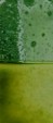 Esmalte De Alta Temperatura Verde