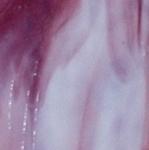 Vidrio Bullseye Veteado Rosa Y Blanco Opal